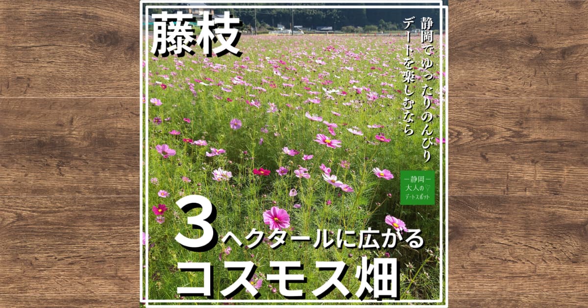 岡部町殿地区のコスモス畑を眺め玉露の里でランチとスイーツを味わう