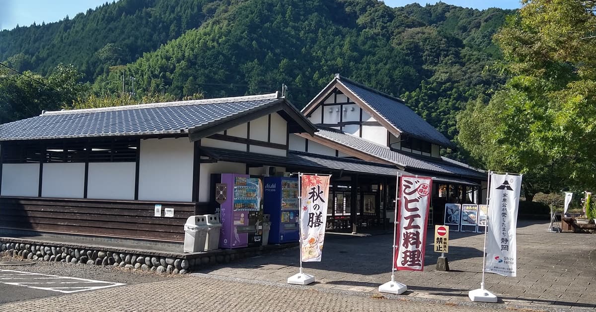 岡部町 殿地区 コスモス畑 玉露の里 藤枝
