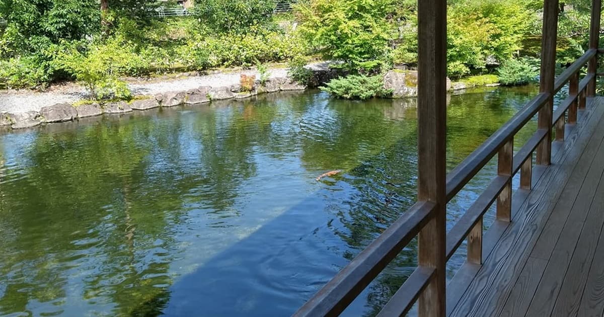 玉露の里 瓢月亭 茶道 茶道体験 和傘の小径 抹茶 茶室