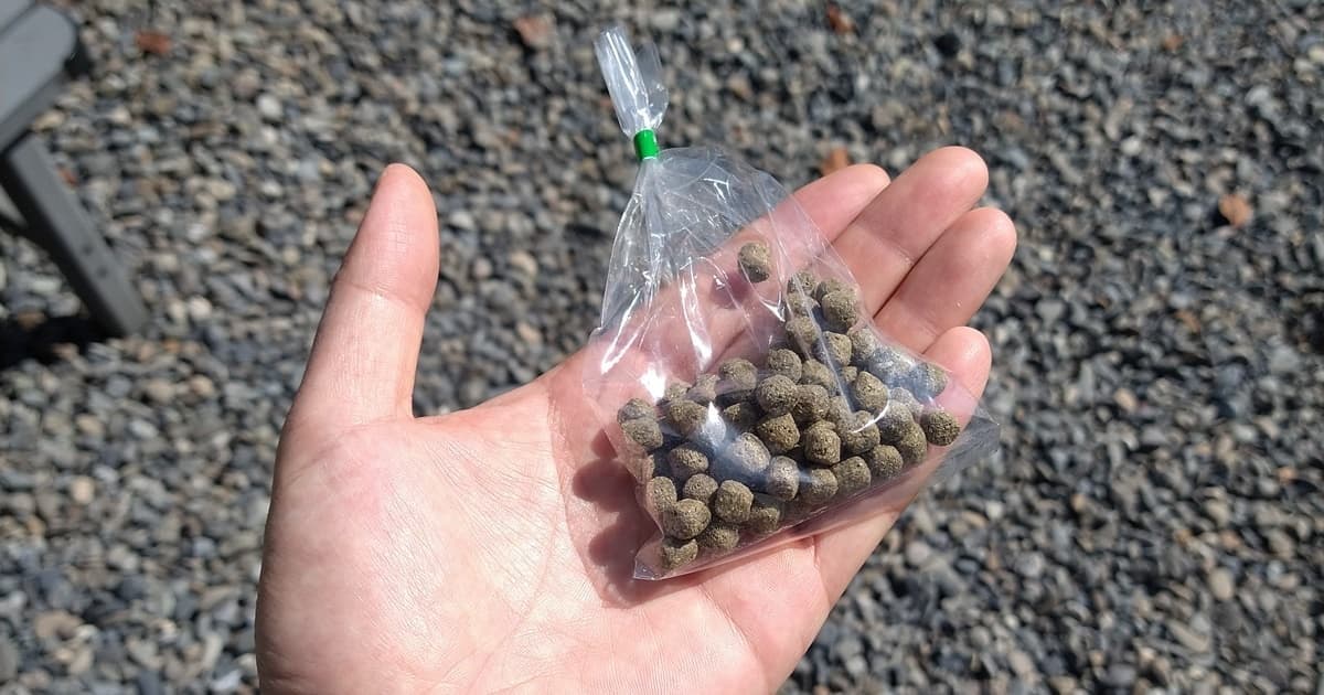 玉露の里 瓢月亭 茶道 茶道体験 和傘の小径 抹茶 茶室