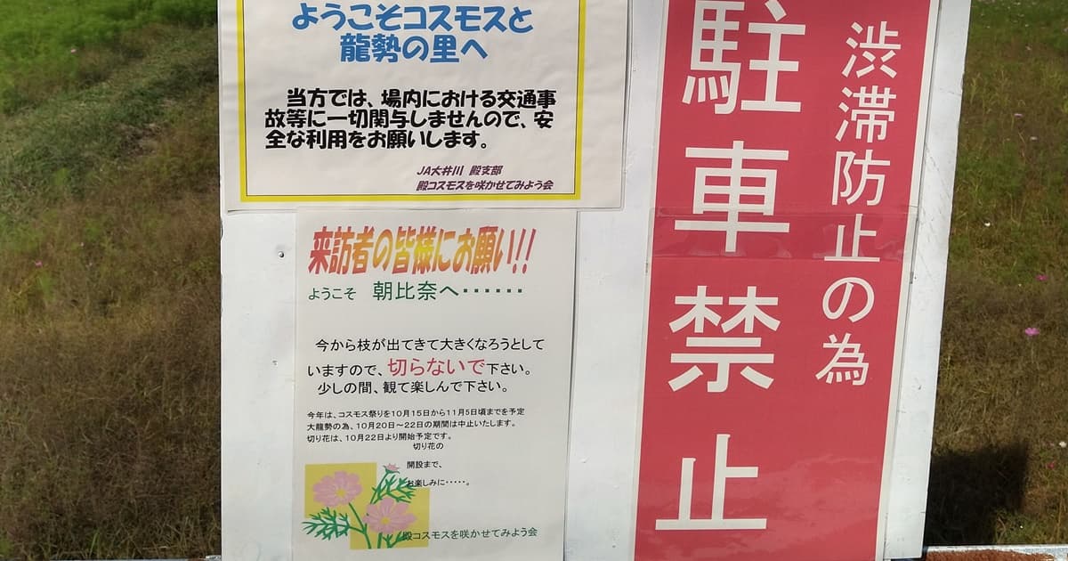 岡部町 殿地区 コスモス畑 玉露の里 藤枝