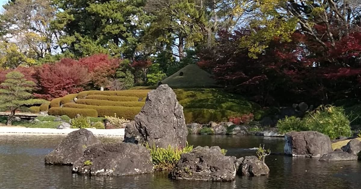 紅葉山庭園 立礼席 駿府城公園 駐車場 口コミ 評判 おでん 喫茶 茶室