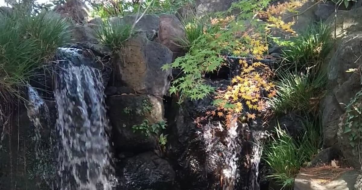紅葉山庭園 立礼席 駿府城公園 駐車場 口コミ 評判 おでん 喫茶 茶室