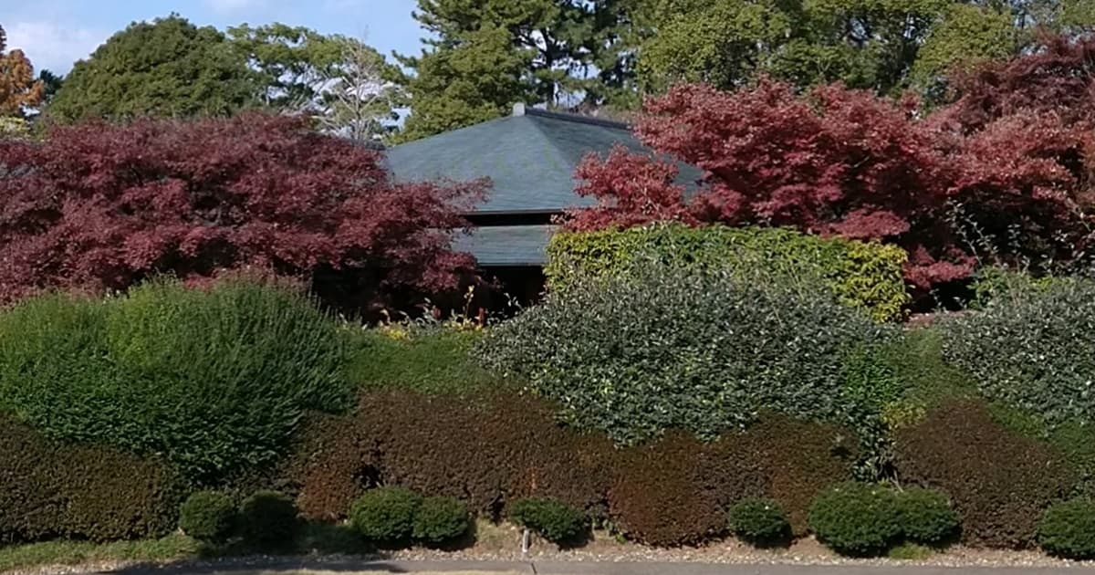 紅葉山庭園 立礼席 駿府城公園 駐車場 口コミ 評判 おでん 喫茶 茶室
