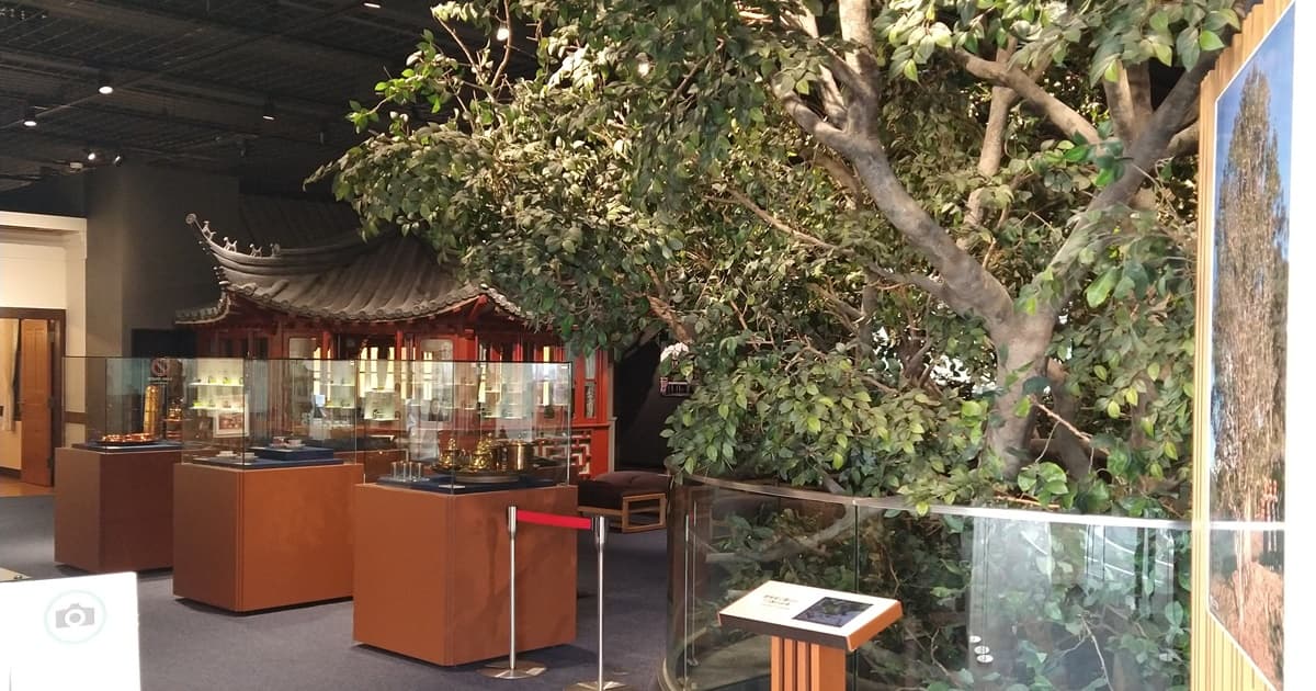 ふじのくに茶の都ミュージアム 評判 口コミ 駐車場 アルム珈琲店 メニュー