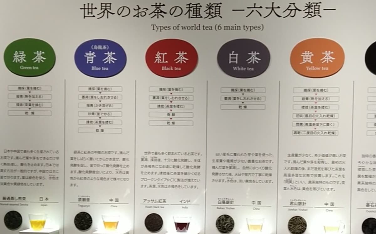 ふじのくに茶の都ミュージアム 評判 口コミ 駐車場 アルム珈琲店 メニュー