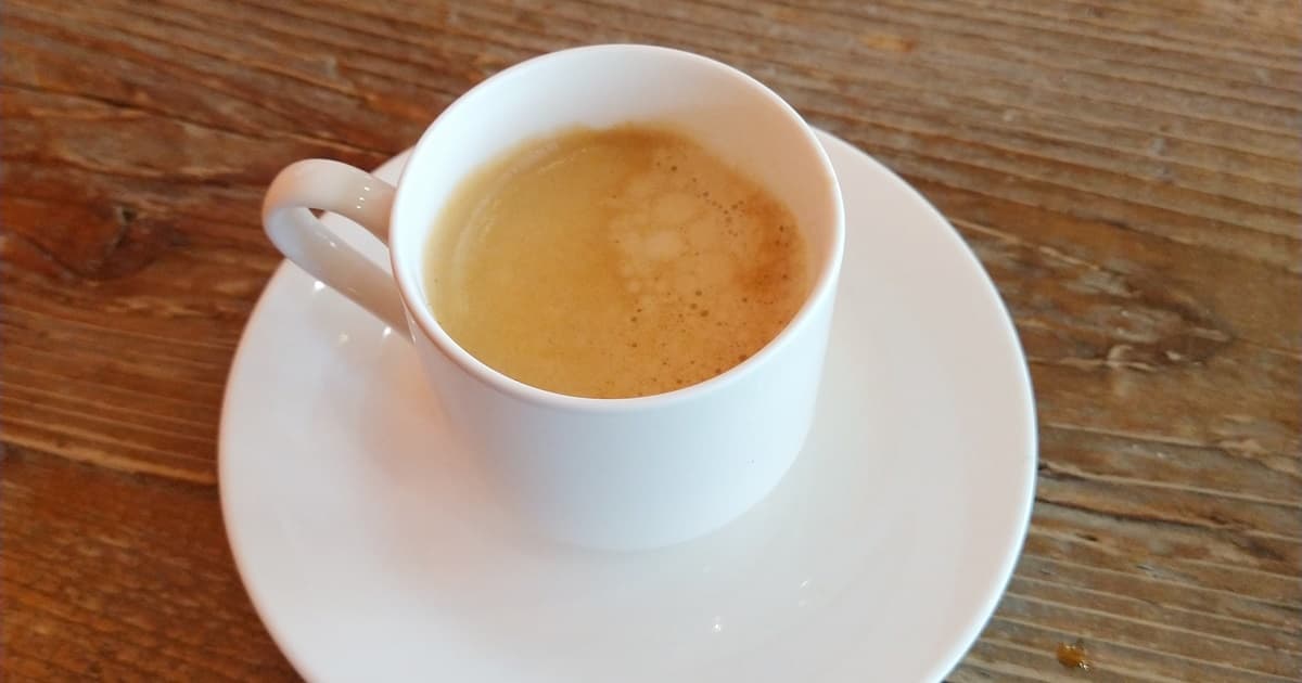 藤枝 パークイン パークインホテル スープカレー コモレビ 口コミ 評判 レビュー