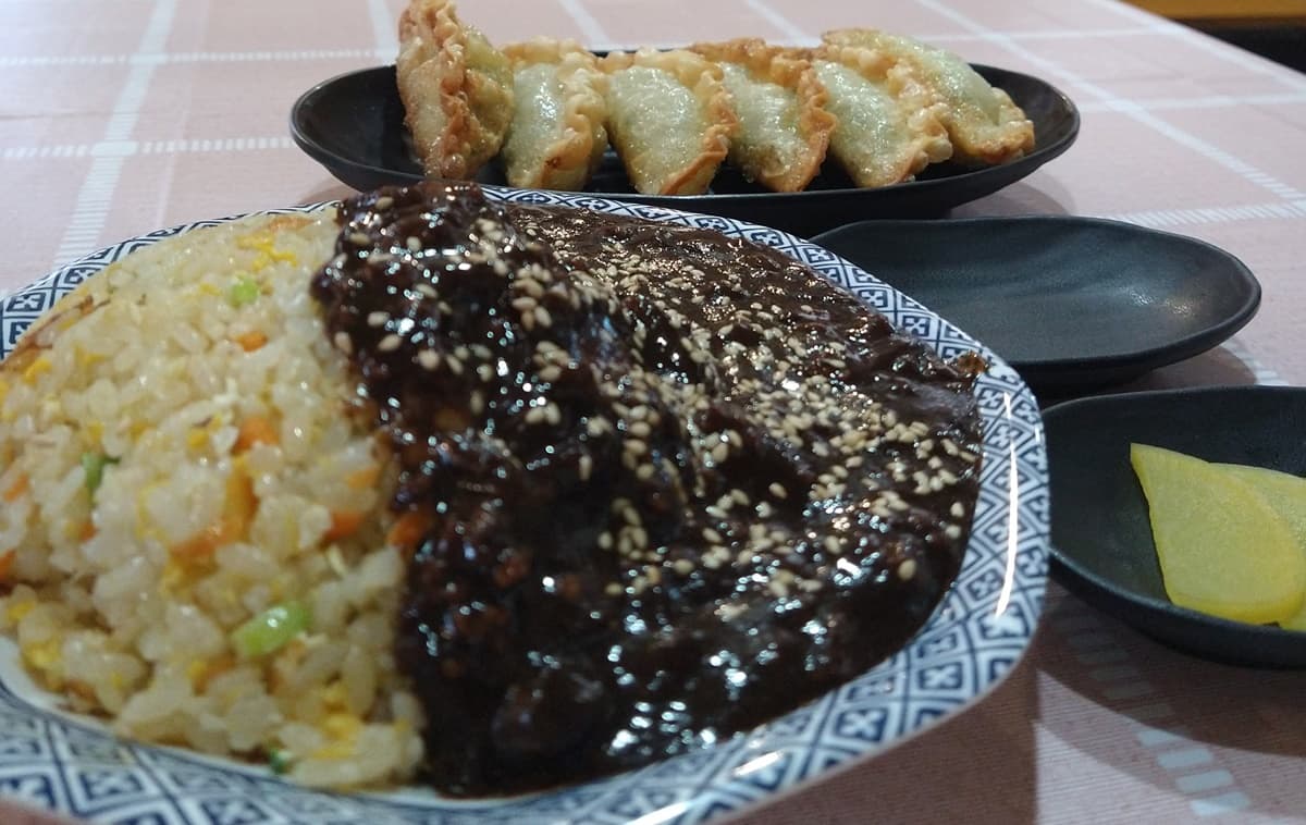 ソウルホランイ 藤枝 駅前 韓国料理 メニュー 口コミ 評判 レビュー